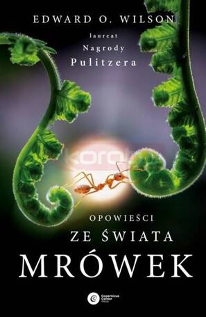 Opowieści ze świata mrówek w.2024