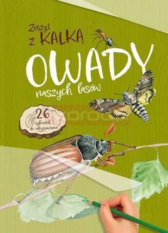 Owady naszych lasów. Zeszyt z kalką