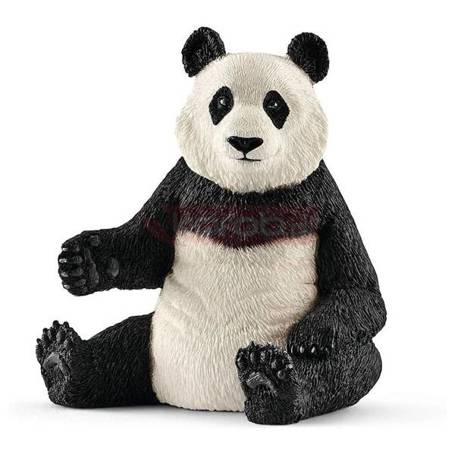 Panda wielka