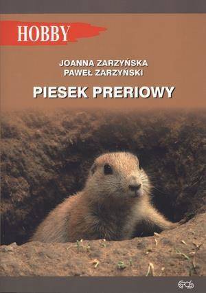 Piesek preriowy