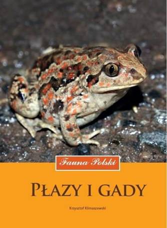 Płazy i gady. Fauna Polski