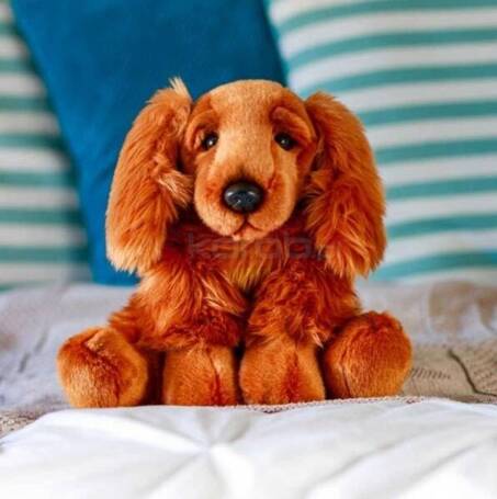 Pluszowy Cocker Spaniel