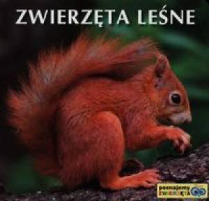 Poznajemy zwierzęta - Zwierzęta leśne