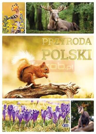 Przyroda Polski