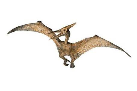 Pteranodon