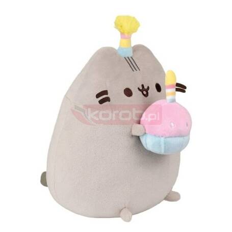 Pusheen z tortem