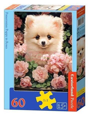 Puzzle 60 Pomeranian Puppy in Roses CASTOR