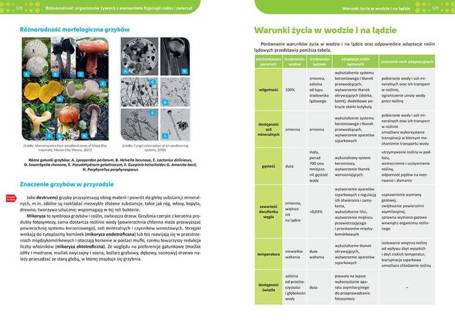 Repetytorium LO 2023 - Biologia