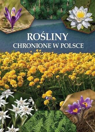 Rośliny chronione w Polsce