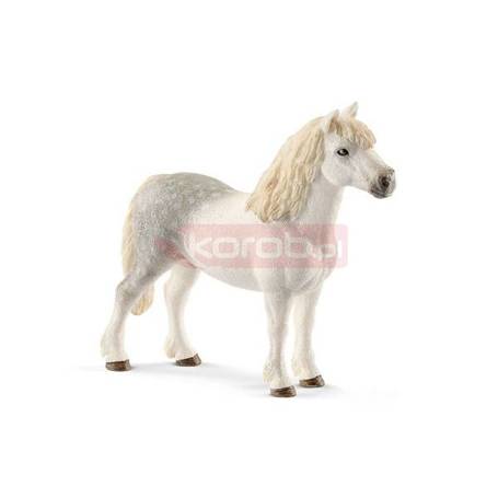 Schleich 13871 kucyk Walijskiego ogiera