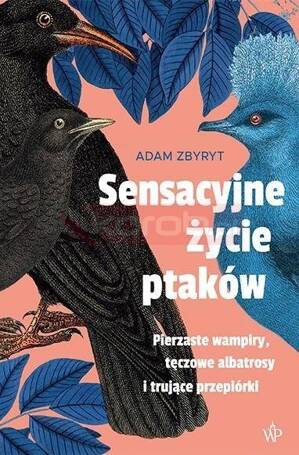 Sensacyjne życie ptaków