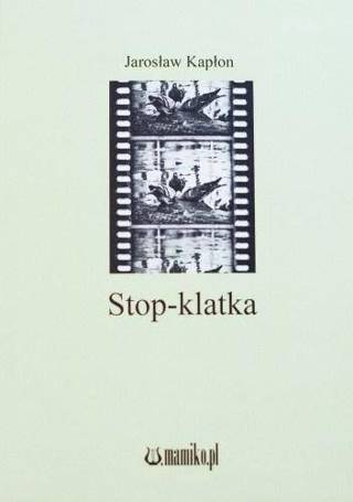 Stop-klatka