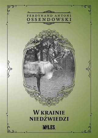 W krainie niedźwiedzi