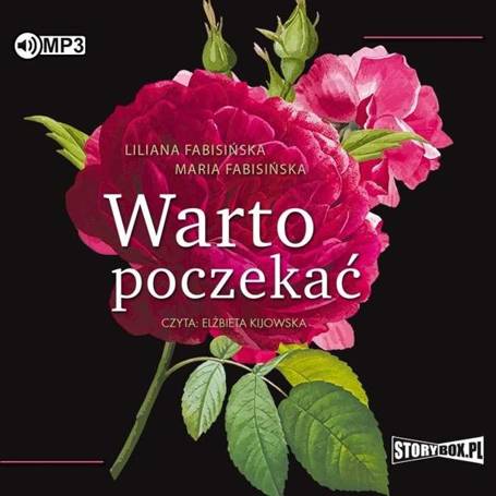 Warto poczekać audiobook