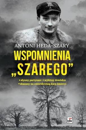 Wspomnienia "Szarego"