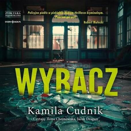 Wybacz audiobook