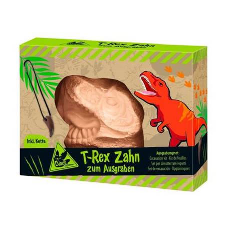 Wykopaliska ząb T-Rexa