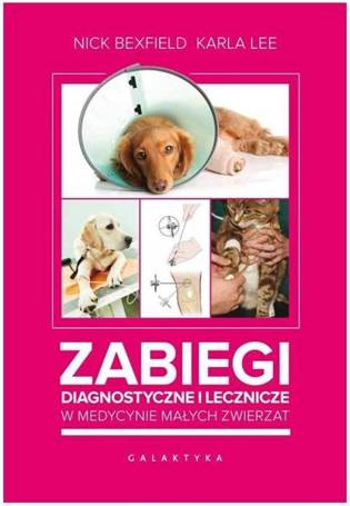 Zabiegi diagnostyczne i lecznicze ...