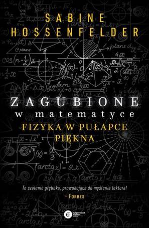 Zagubione w matematyce. Fizyka w pułapce piękna