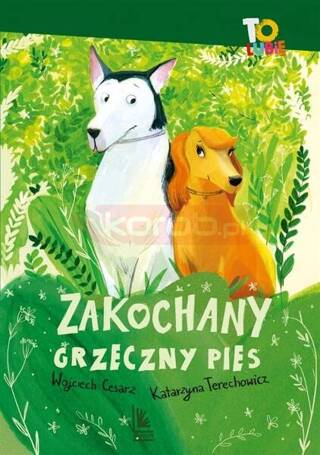 Zakochany grzeczny pies