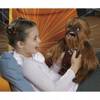 FURREAL STAR WARS CHEWIE CHEWBACCA E0584