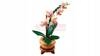 LEGO BOTANICALS 10343 MAŁA ORCHIDEA zestaw klocków kwiaty, prezent