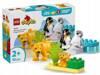 LEGO DUPLO 10442 Rodziny dzikich zwierząt: pingwiny i lwy, zestaw klocków