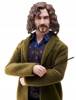 Lalka figurka Harry Potter Syriusz HCJ34