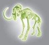 Naukowa zabawa Skamieniałości Mamut fluorescencyjny 60890