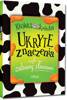 Ukryte znaczenia, czyli zabawy słowami BR GREG